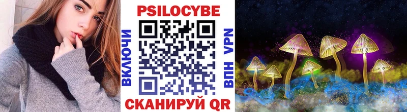 hydra ТОР Астрахань Псилоцибиновые грибы MAGIC MUSHROOMS