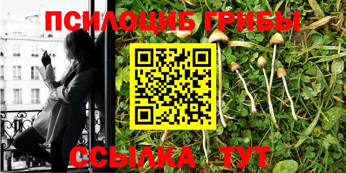 Псилоцибиновые грибы ЛСД Астрахань